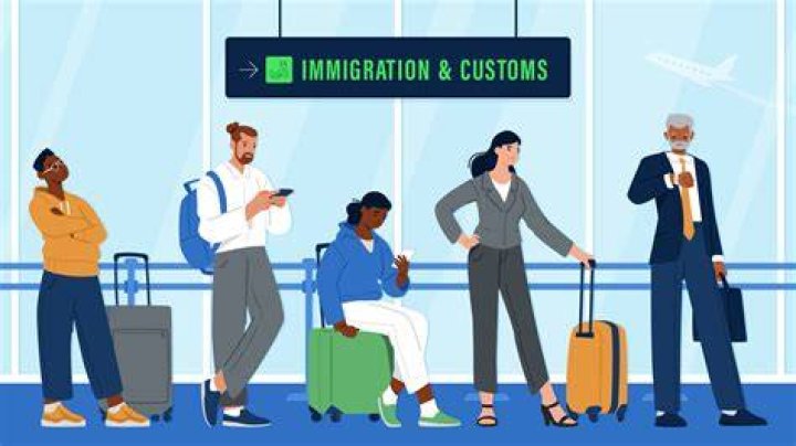 What does it mean to go through immigration?