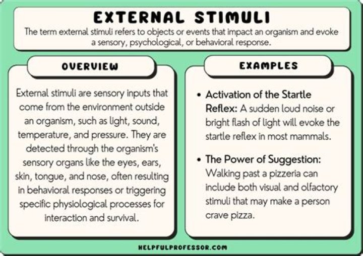 What does it mean to localize to noxious stimuli?