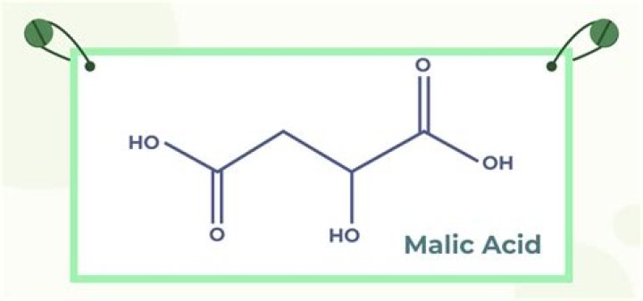 What does malic acid do for skin?