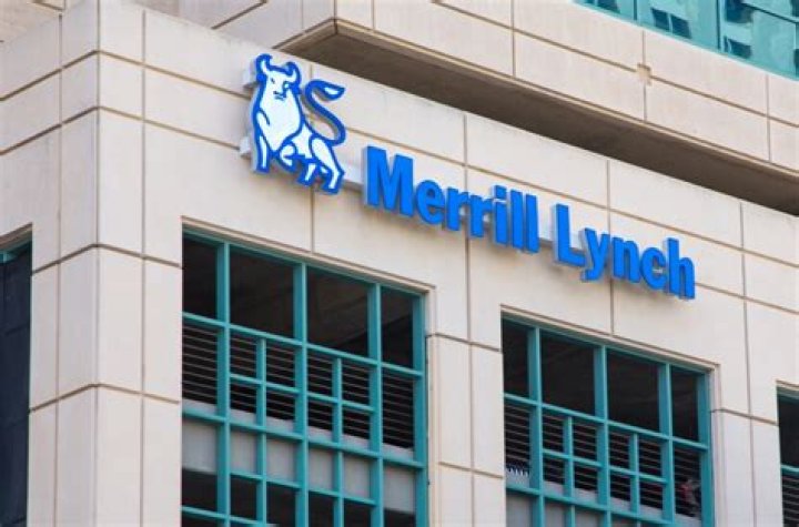 What does Merrill Lynch wealth management do?