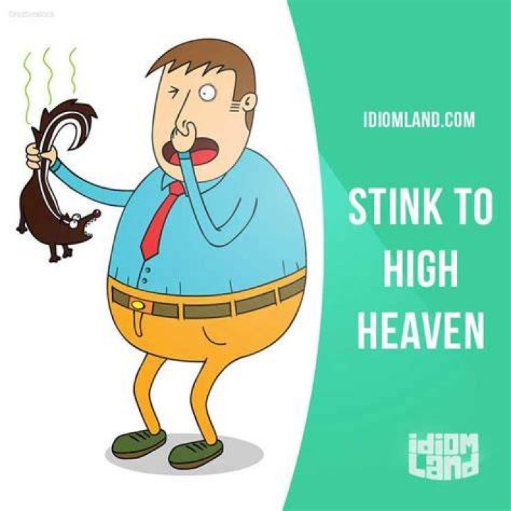 What does stinks to high heaven mean?