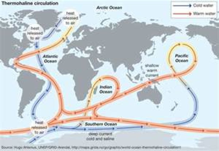 What does the term thermohaline flow describe?