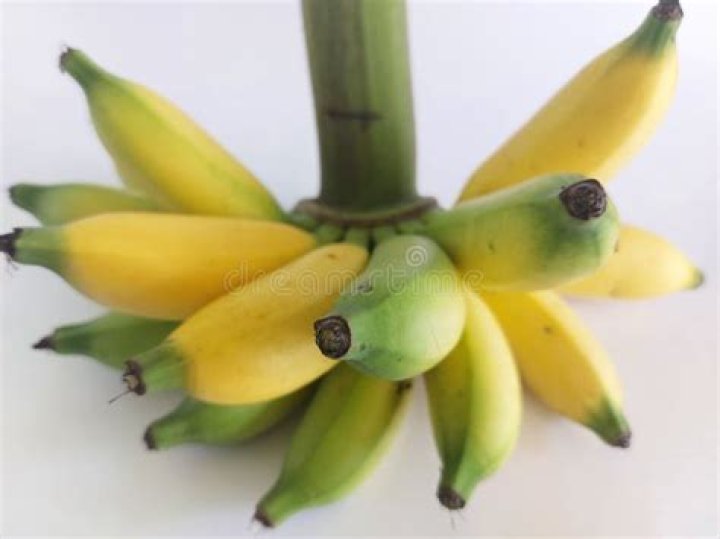 What fruit is called pisang in Malay?