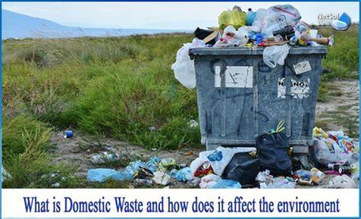 What goes in domestic waste?