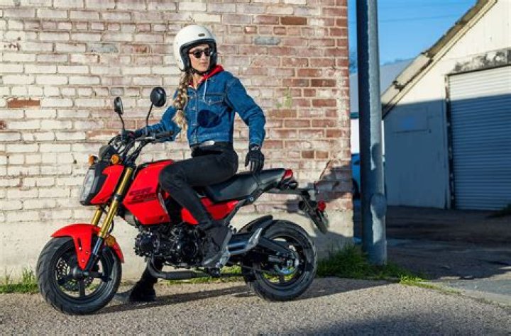 What horsepower is a Honda GX340?