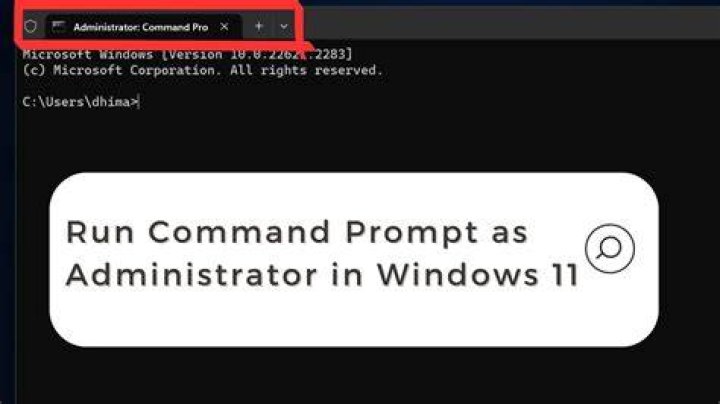 What information is returned by the summary command when you run a Cox model in R?