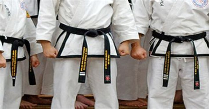 What is 1st Dan in Taekwondo?