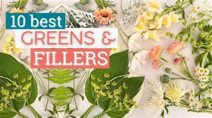What is a good filler in a flower arrangement?
