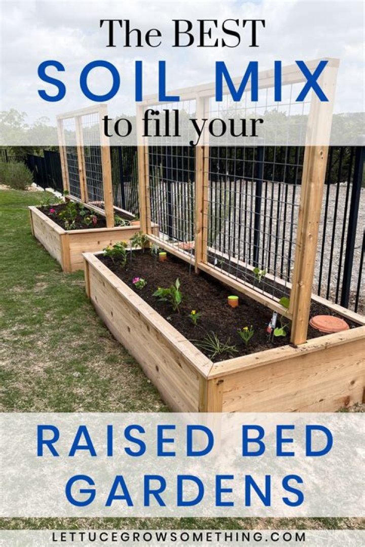What is a good soil mixture for raised beds?