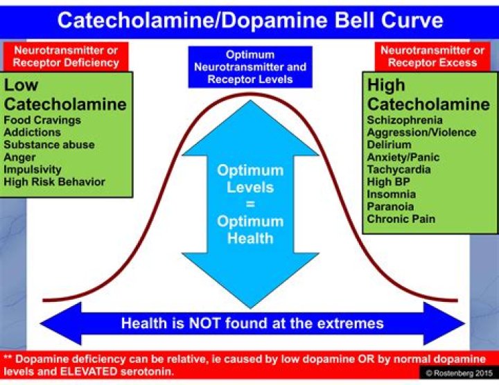 What is a high catecholamine level?