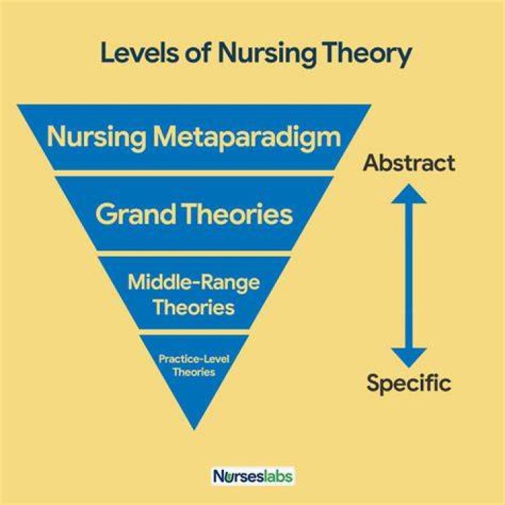 What is a nursing grand theory?