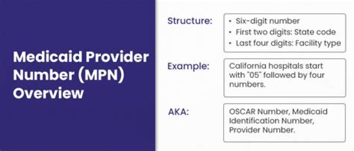 What is a provider ID in healthcare?