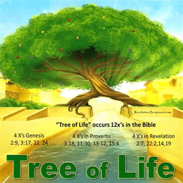 What is a Tree of Life rug?