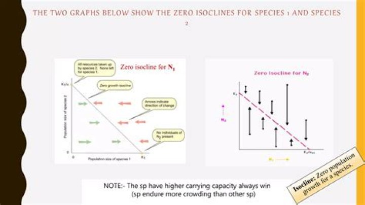 What is a zero net growth Isocline?
