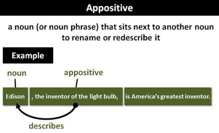 What is an appositive example?