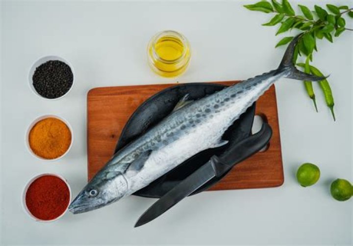 What is Anjal Fish Called?