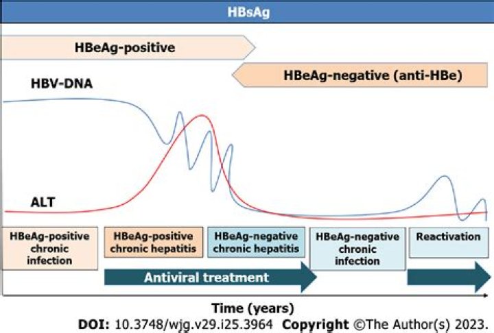 What is anti HBsAg positive?