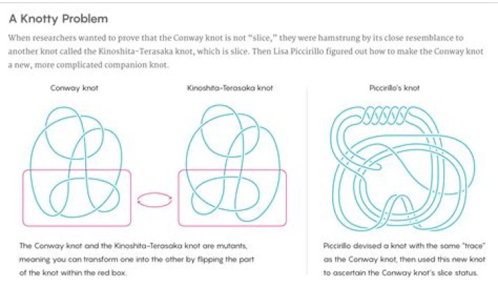 What is Conway knot problem?