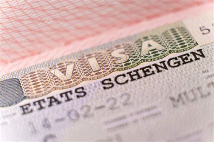 What is D type visa for Malta?