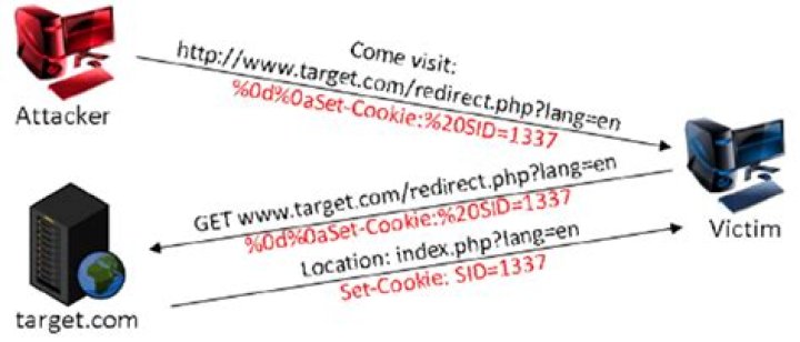 What is HTTP header injection attack?