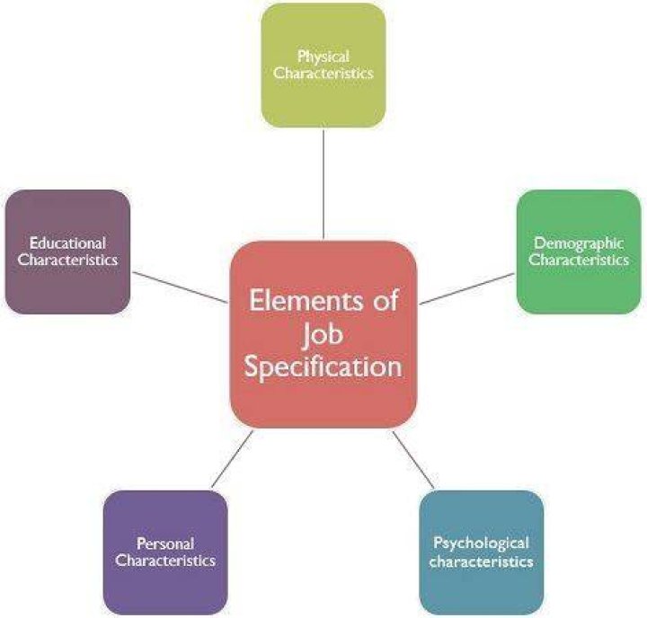 What is job specification in HRM?