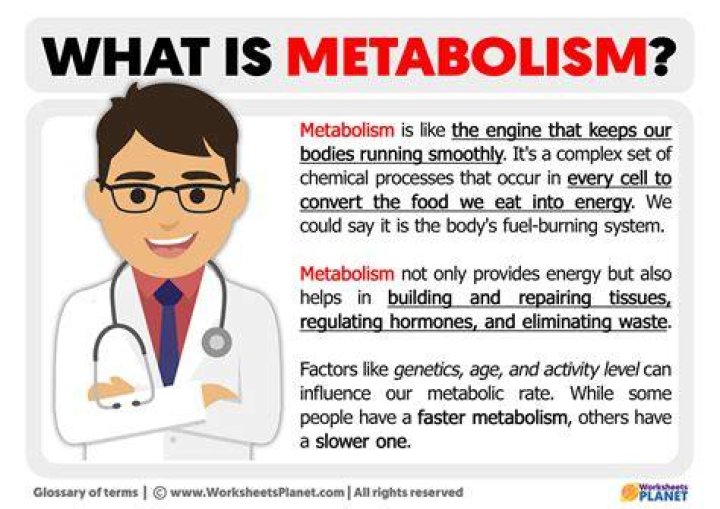What is metabolism in pharmacognosy?