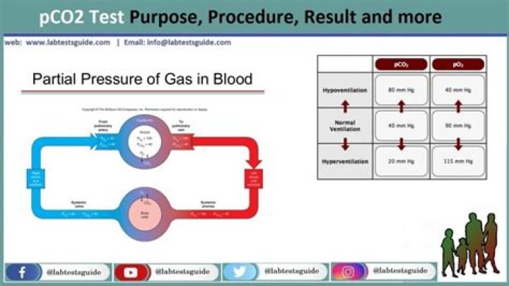 What is pCO2 and pH?