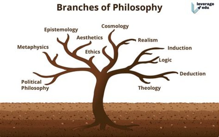 What Is Philosophy Tree?