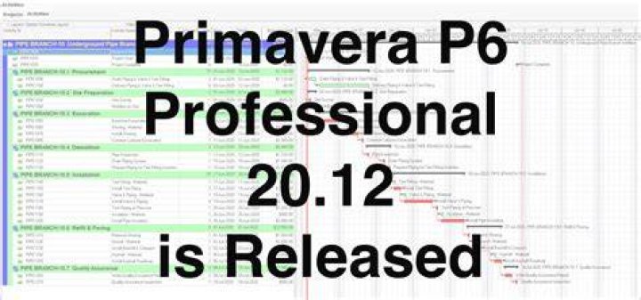 What is Primavera P6 professional?