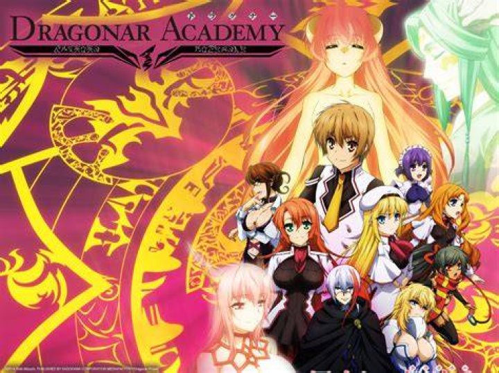 What is seikoku no Dragonar?