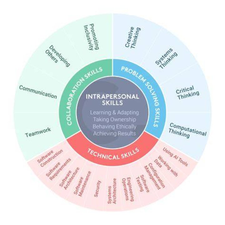 What is skill set?