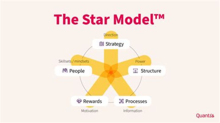 What is star model in organizational design?