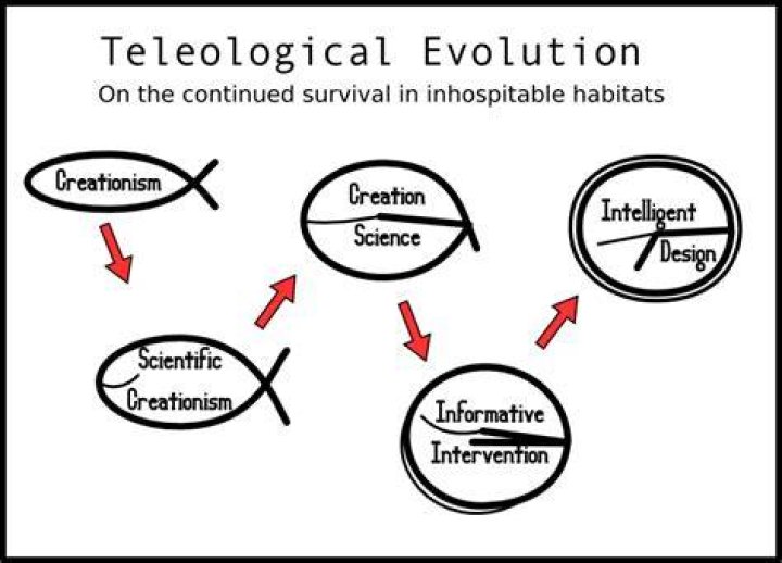 What is teleology evolution?