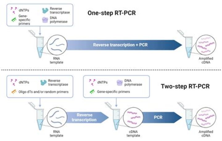 What is the advantage of using the PCR protocol?