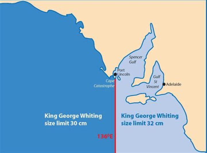 What is the bag limit for King George whiting in WA?