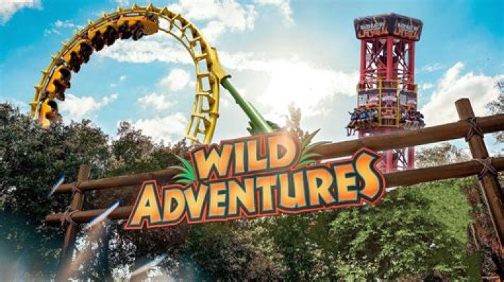 What is the boomerang at Wild Adventures?