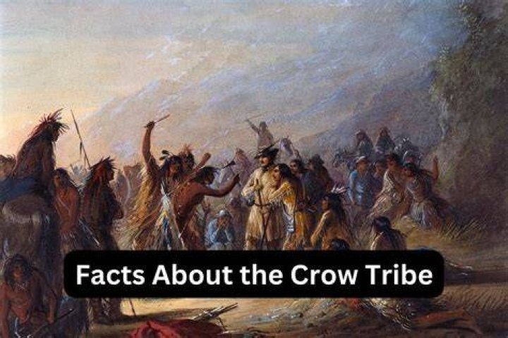 What is the Crow tribe known for?
