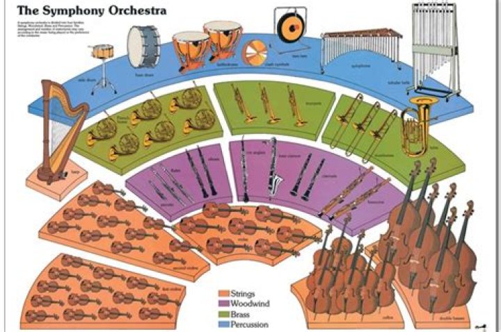 What is the difference between Philharmonic and orchestra?