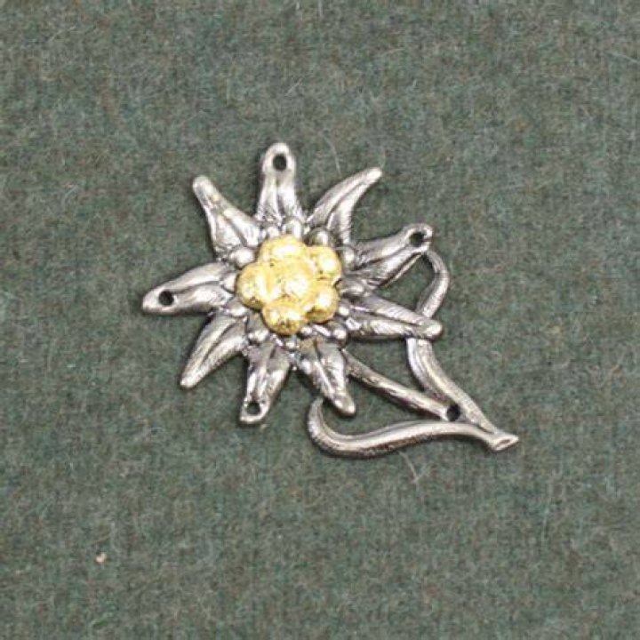 What is the Edelweiss badge?