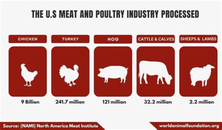 What is the largest meat industry in the US?