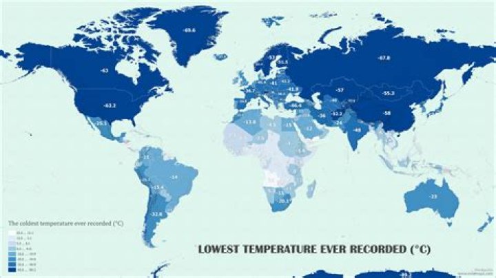 What is the lowest temperature a ficus can tolerate?