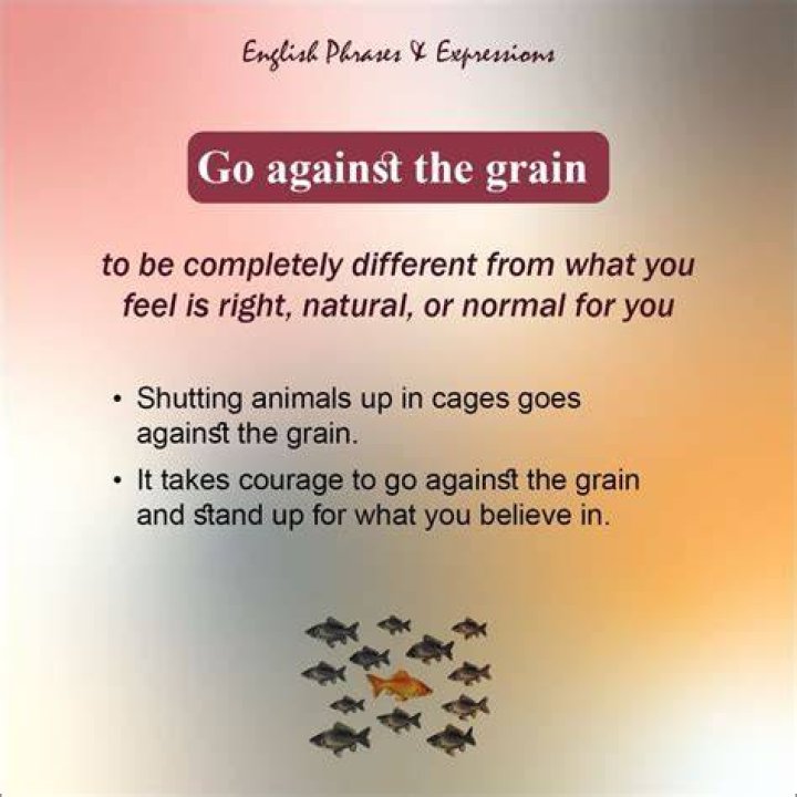 What is the meaning of the phrase go against the grain?