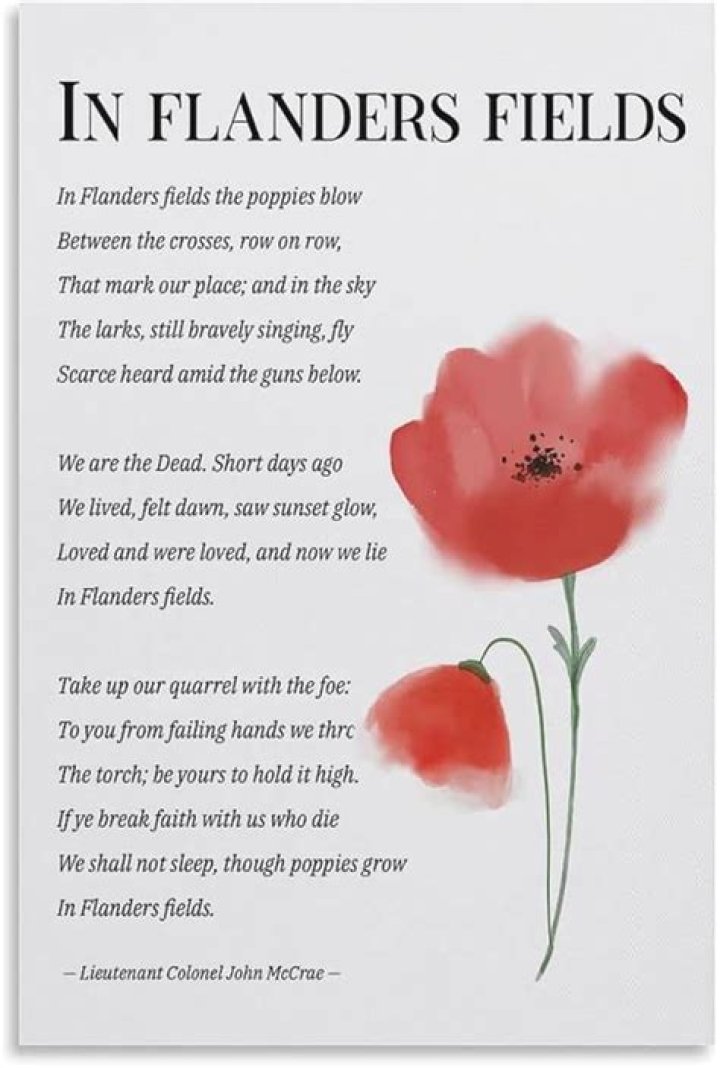 What is the message of Flanders Field poem?