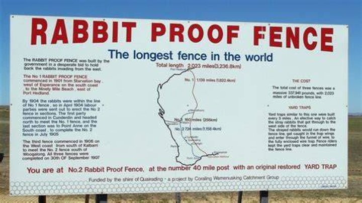 What is the message of Rabbit-Proof Fence?