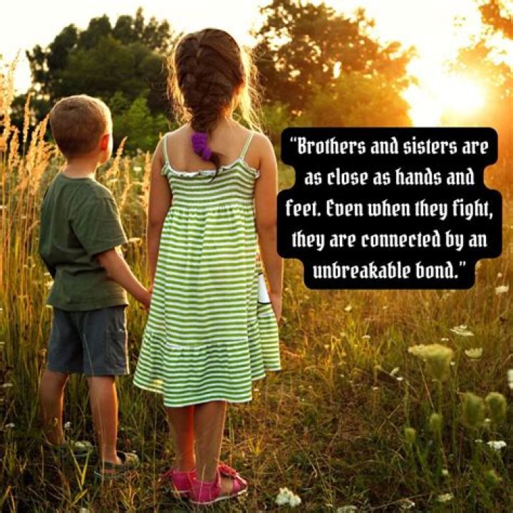 What is the name given to jealousy shown towards a new baby by an older brother or sister?