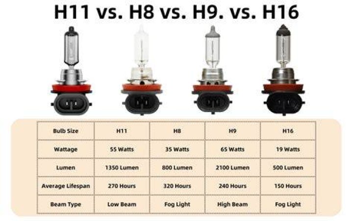 What is the same as a H3 bulb?
