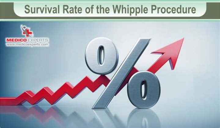 What is the survival rate of the Whipple procedure?