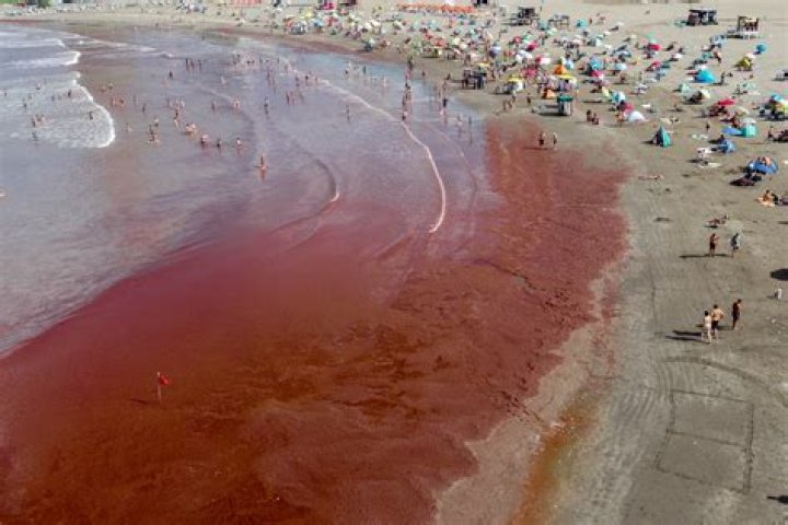 What is the tide in Delacroix Louisiana?