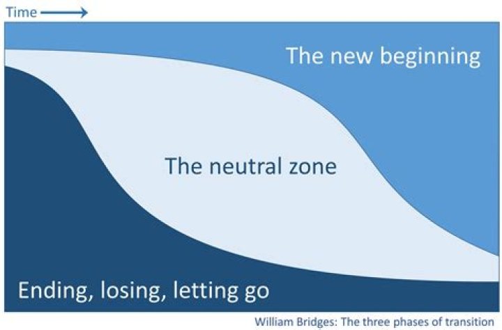 What is the transition phase of training?