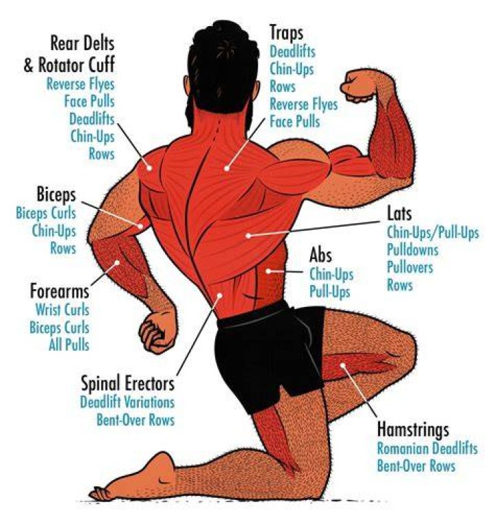 What muscles are used in tricep pushdown?